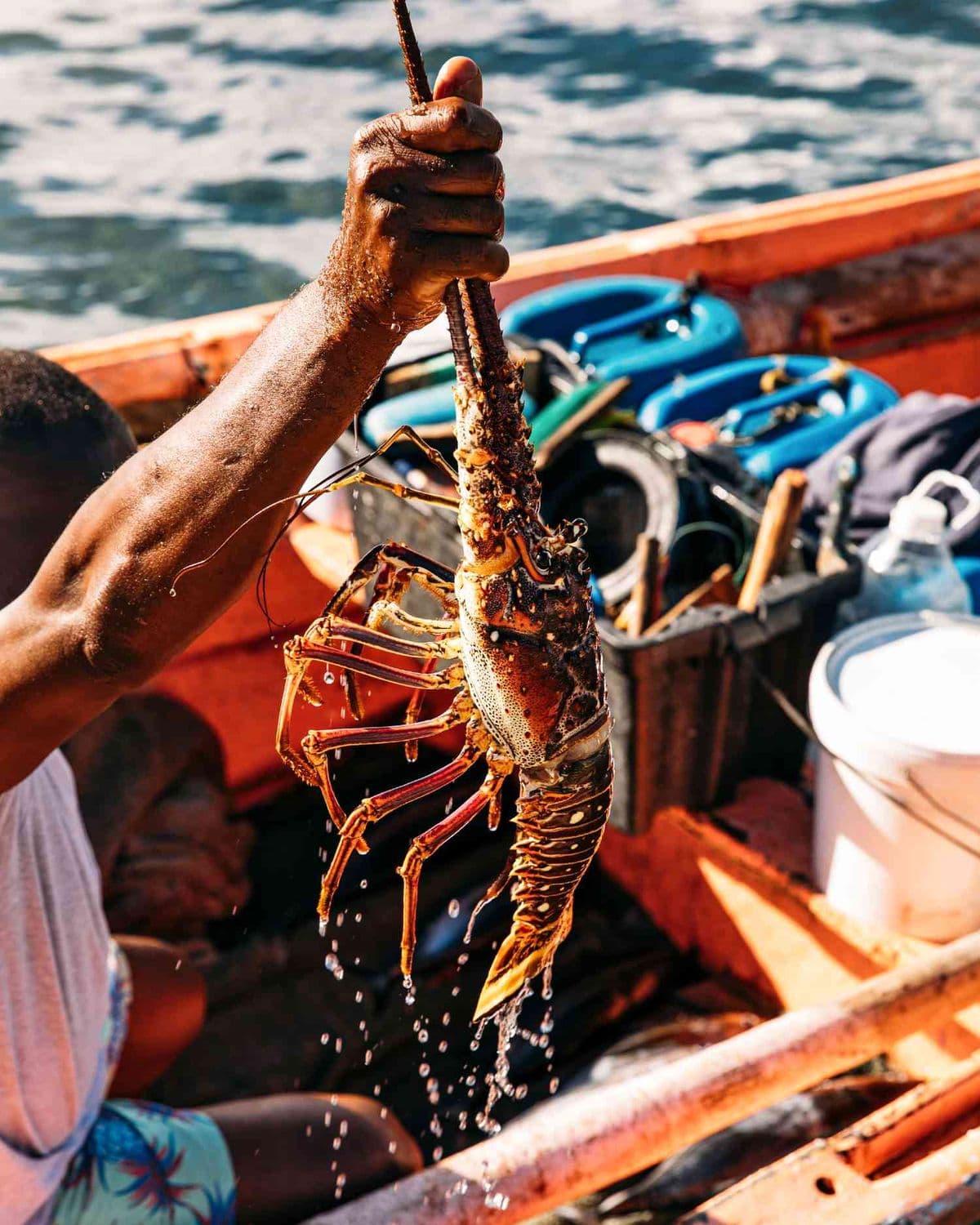 A fisherman holds a large, dripping spiny lobster by its antennae over an orange boat.